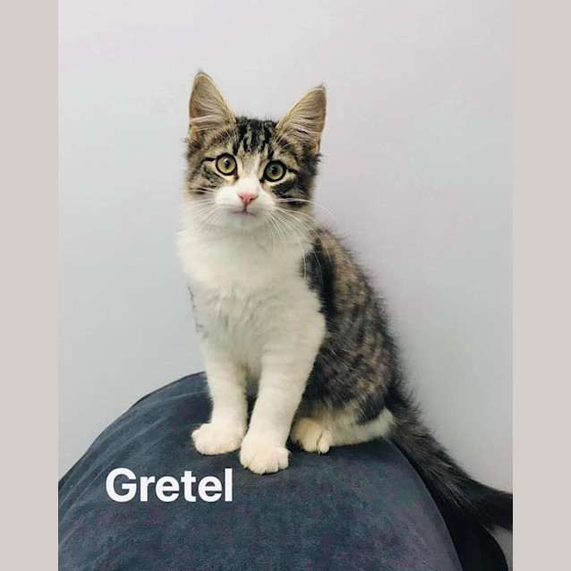 Photo of Gretel