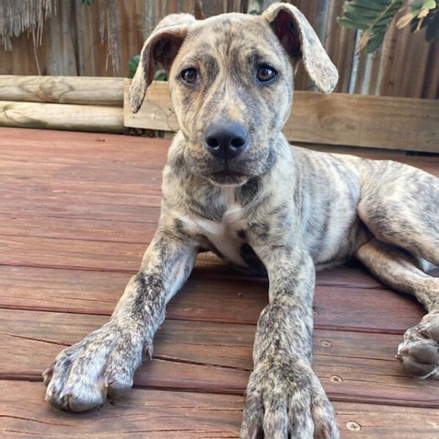 Photo of Sasha