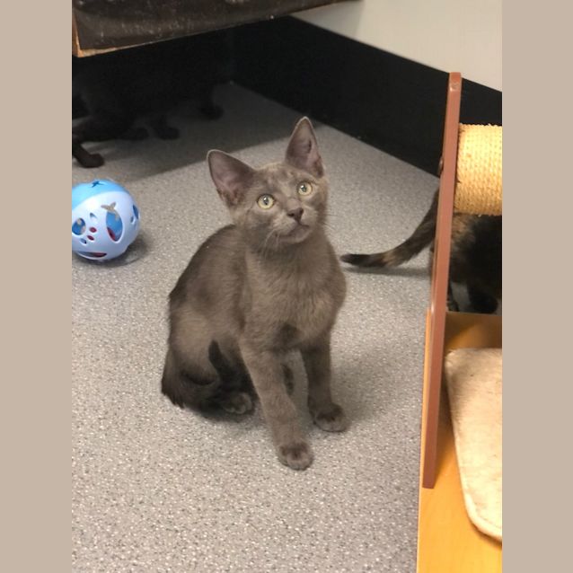 Photo of Harvey