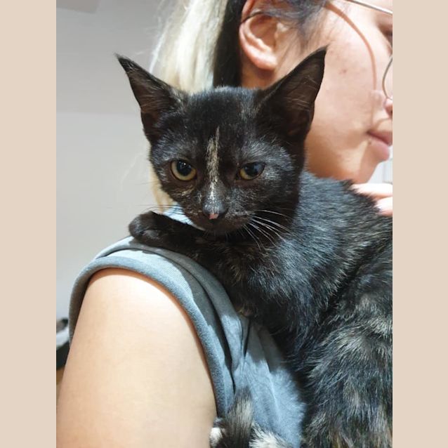 Photo of Lunar