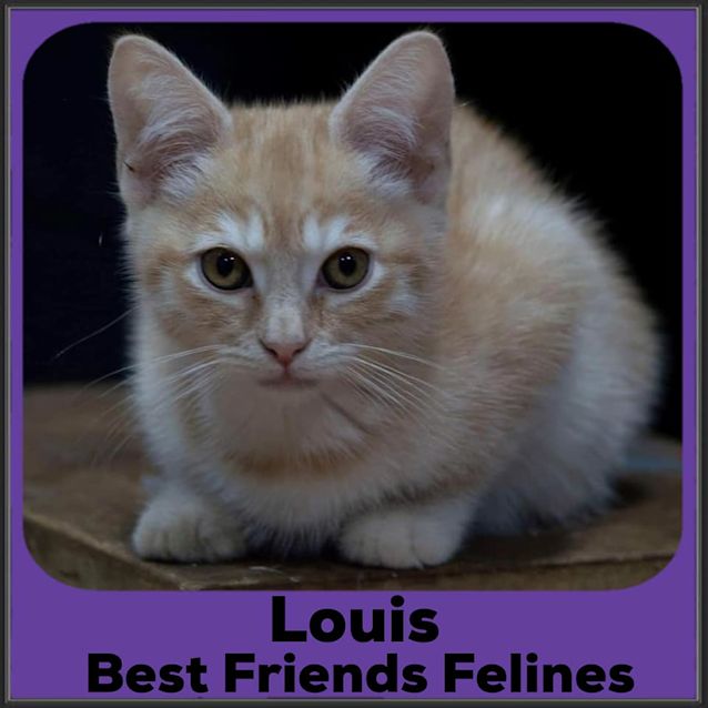 Photo of Louis 