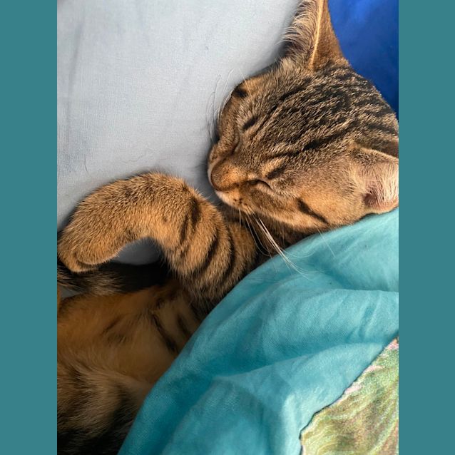 Photo of Joycie