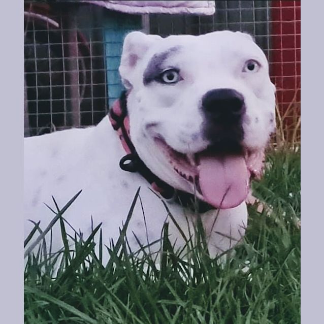 Photo of Maizy 