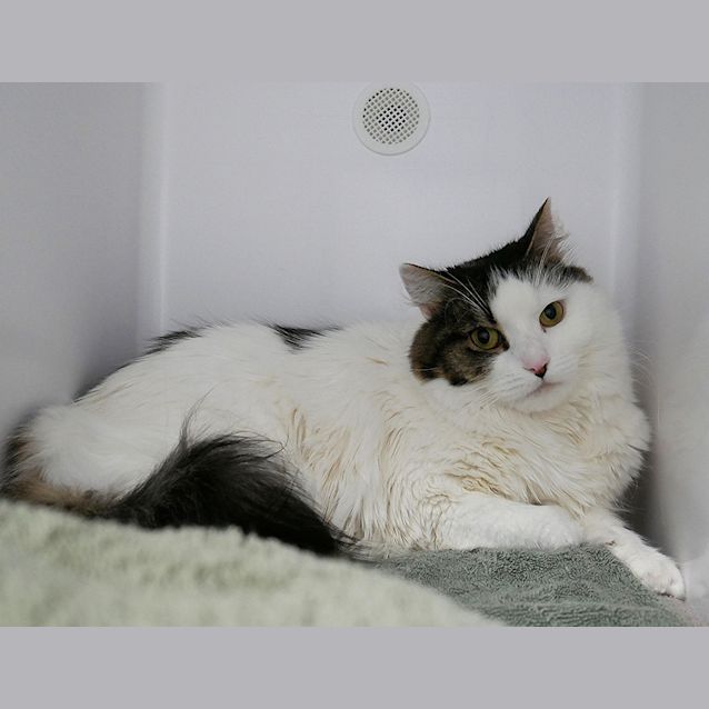 Photo of Jessie Rsua006132