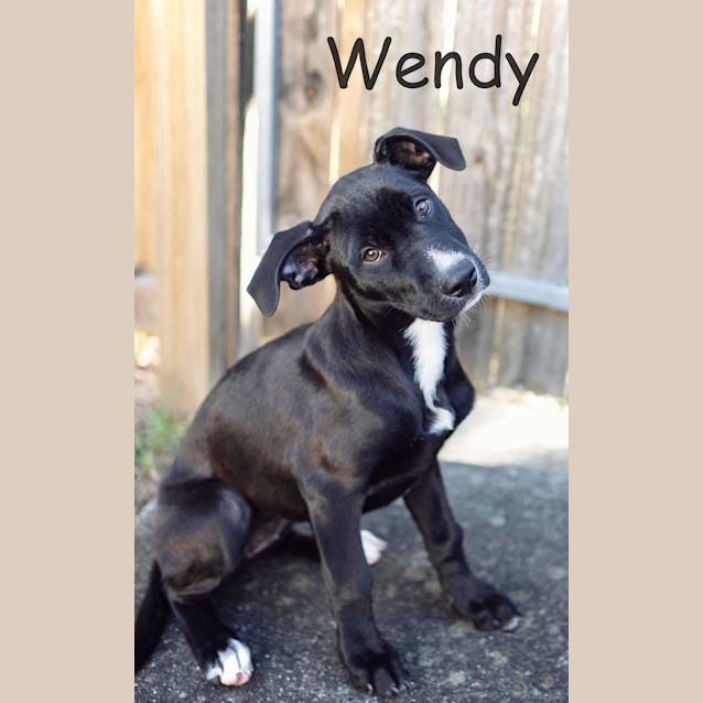 Photo of Wendy