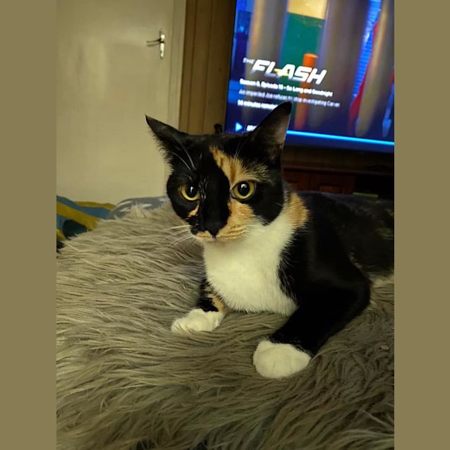 Photo of Millie