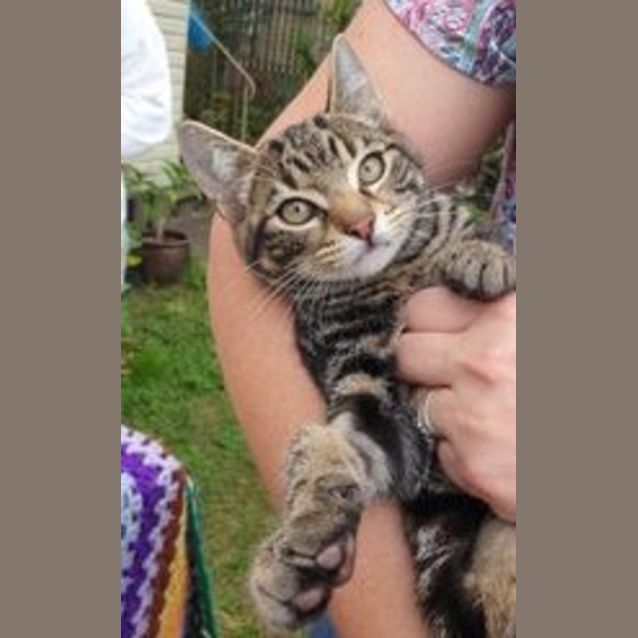 Photo of Hetty