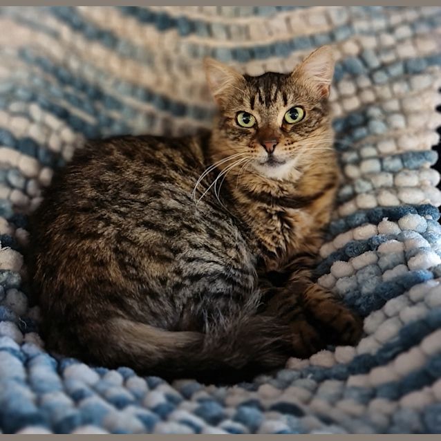 Photo of Charlotte (Werribee South)