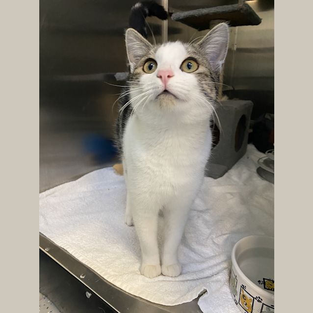 Photo of Tuna