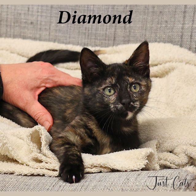 Photo of Diamond