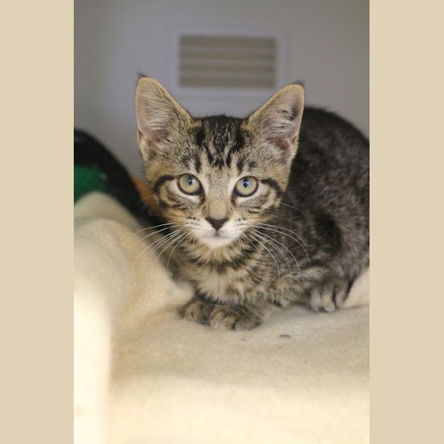 Photo of Tilly