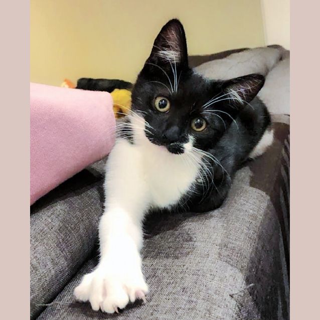 Photo of 💥Sheldon💥