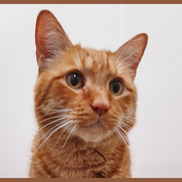 Photo of Juddy 