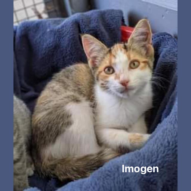 Photo of Imogen