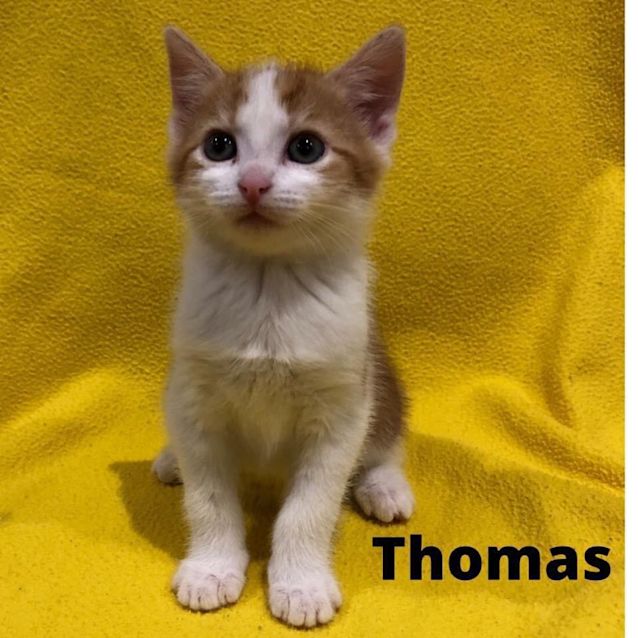 Photo of Thomas 