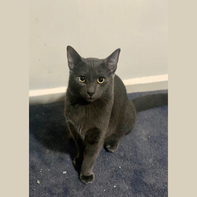 Photo of Ravioli