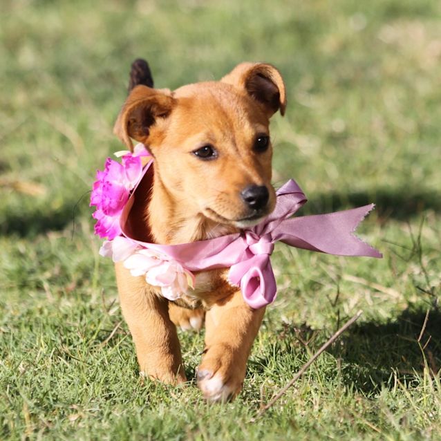 Photo of Bernice