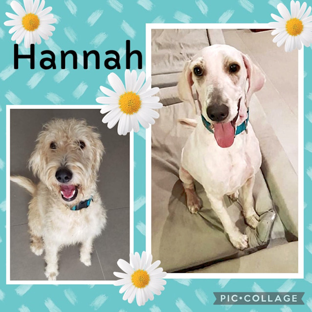 Photo of Hannah