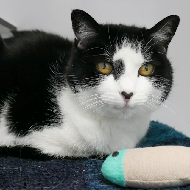 Photo of Amy Sua006396