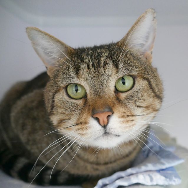 Photo of Brian Sua008629