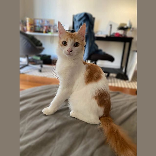 Photo of Daisy & Bella