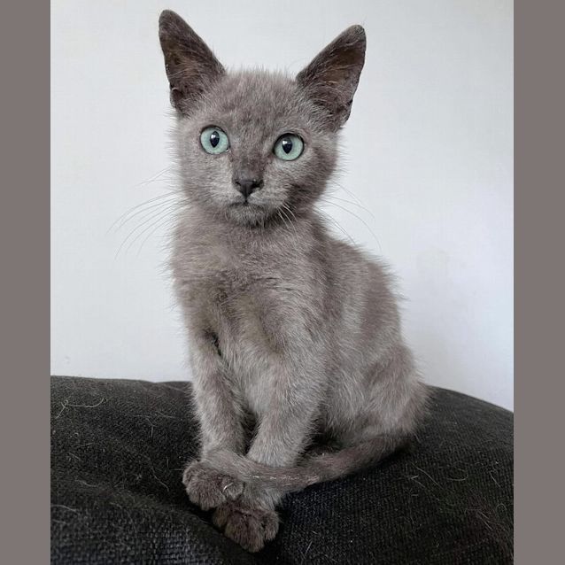 Photo of Loki & Thora