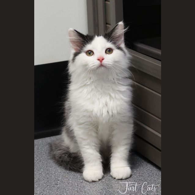 Photo of Marceline