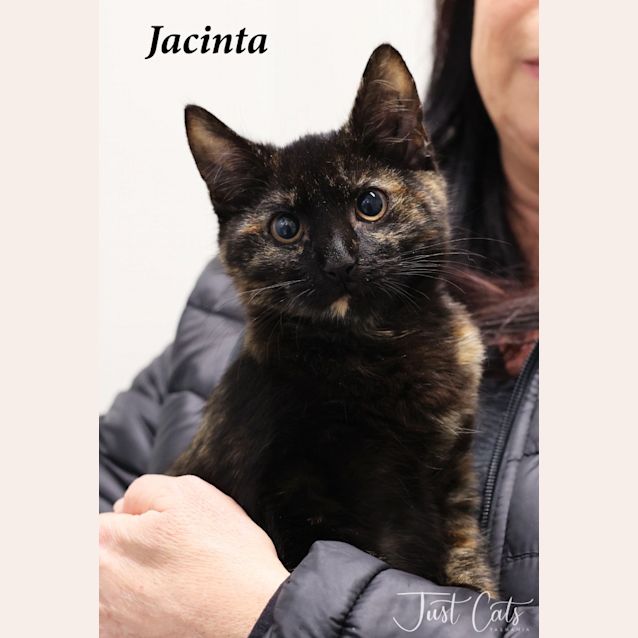 Photo of Jacinta