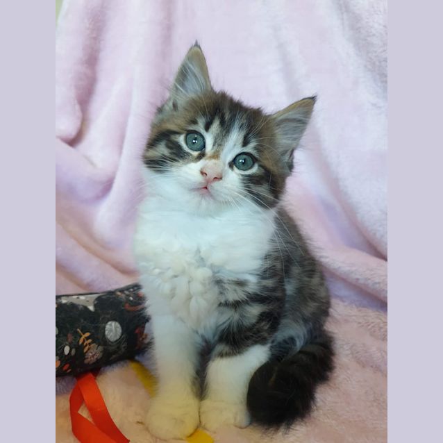 Photo of Takua 