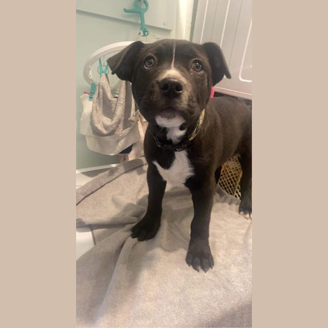Photo of Zuko