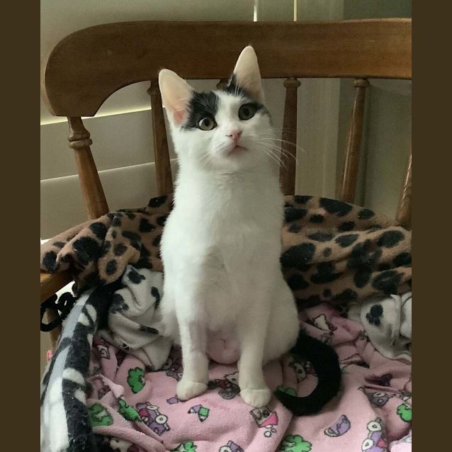 Photo of Annie