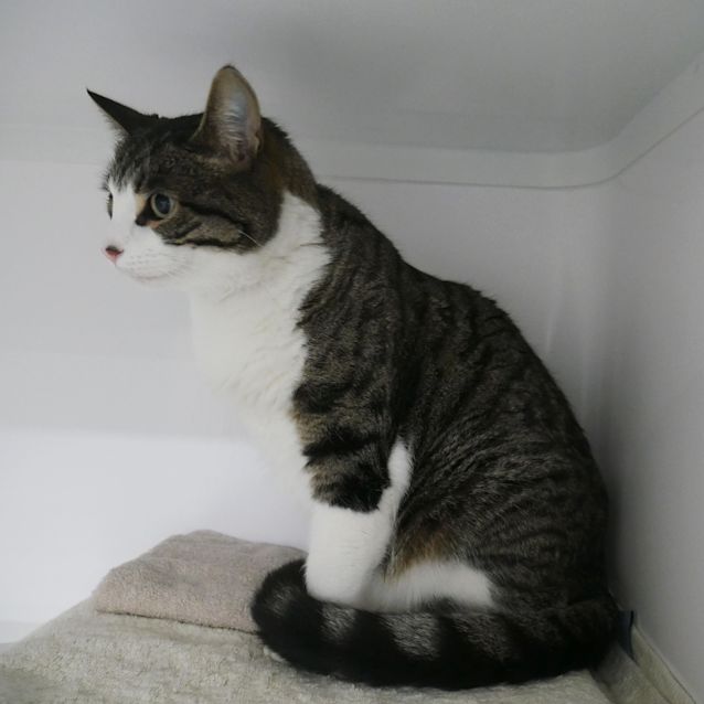 Photo of Muka Rsuk004952