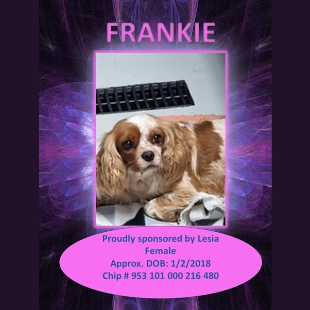 Photo of Frankie