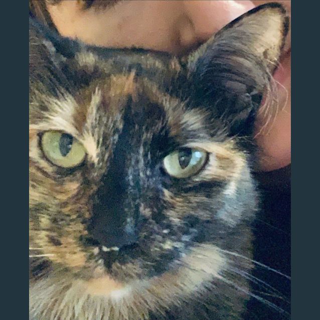 Photo of May Frida