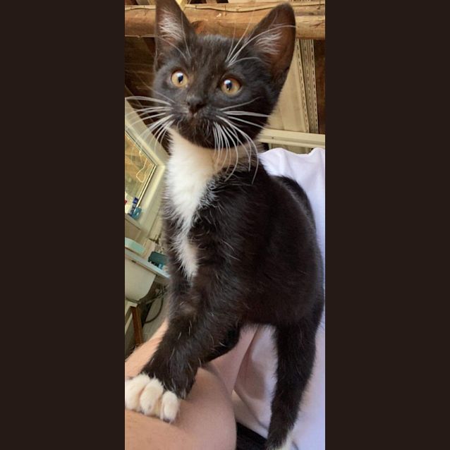 Photo of Uno