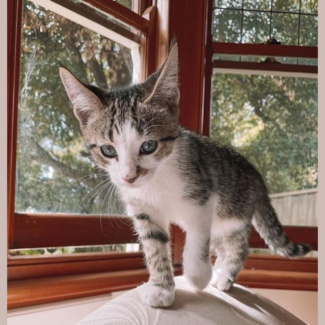 Photo of Motita 