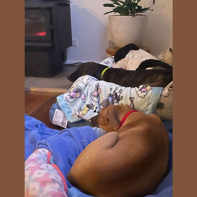 Photo of Zoe
