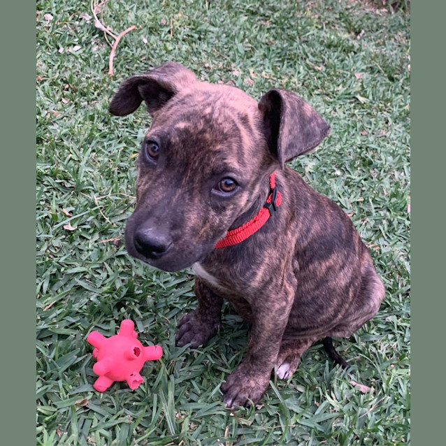 Photo of Rookie