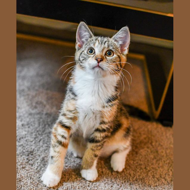 Photo of Floof