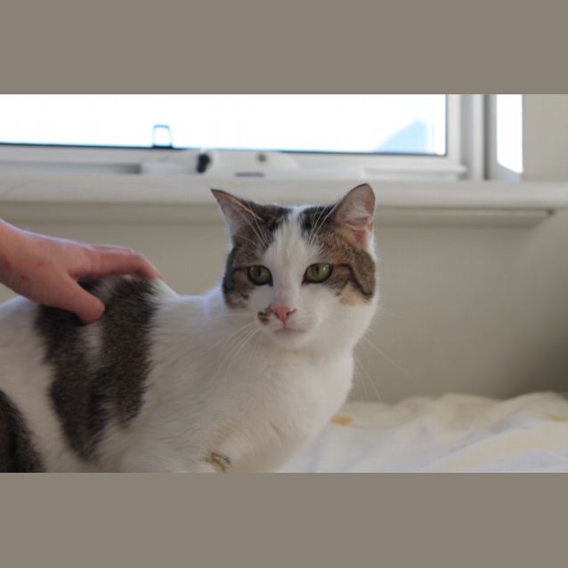 Photo of Oliver