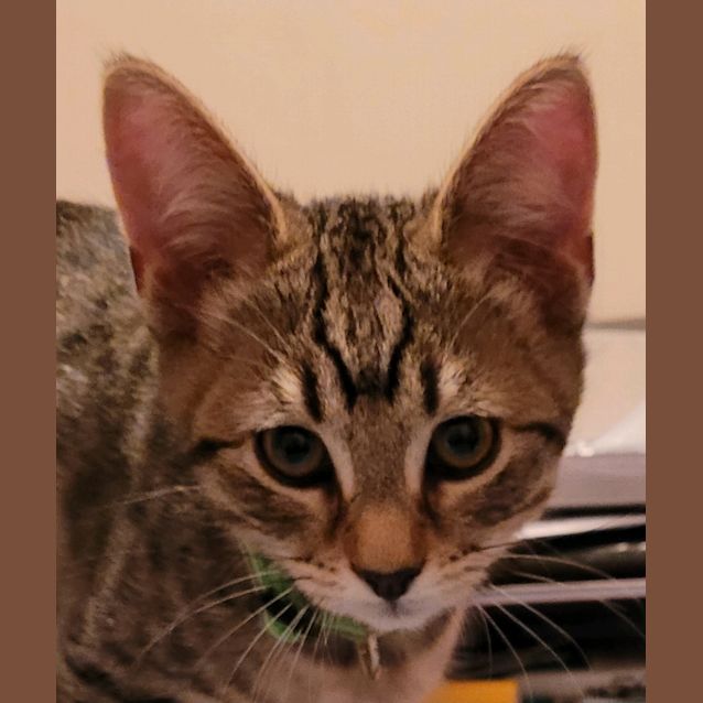 Photo of Sam
