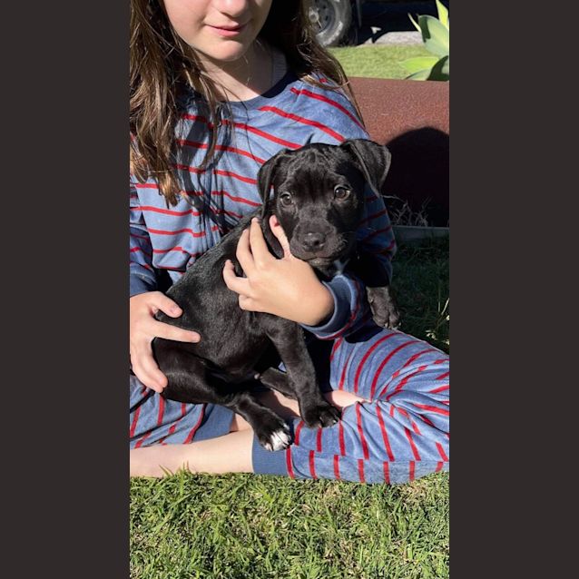 Photo of Arlo