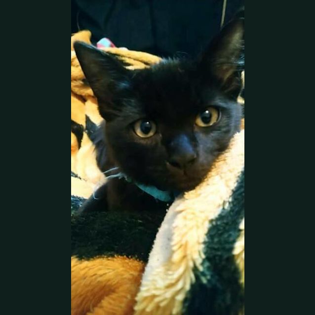 Photo of Phil