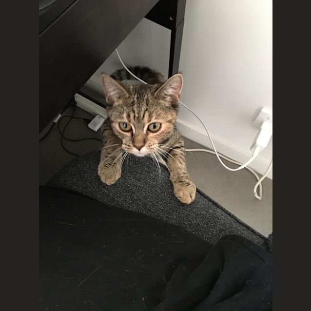 Photo of Bug