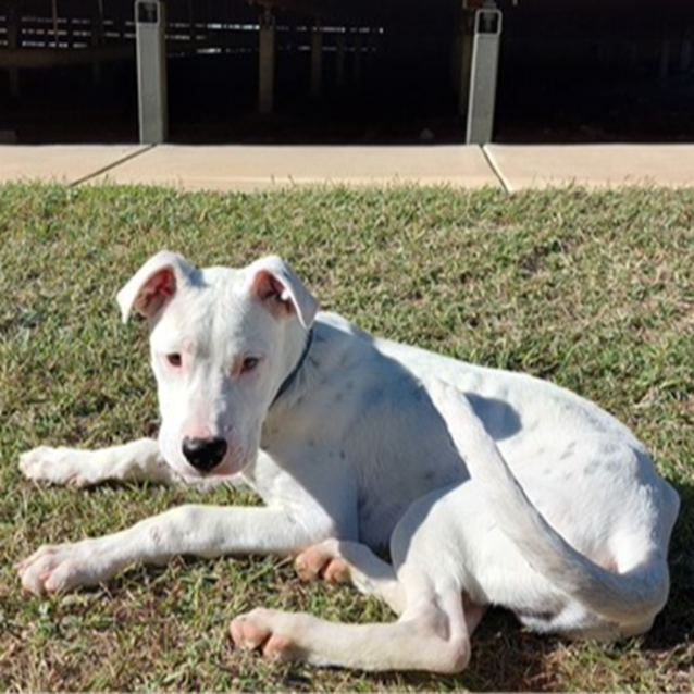 Photo of Zeus