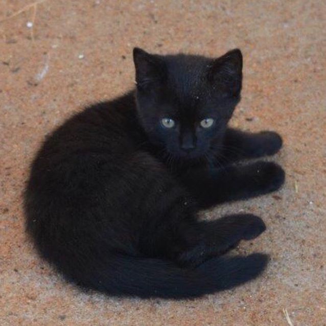 Photo of Wednesday