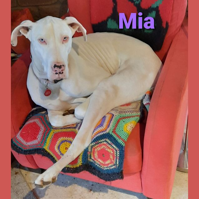 Photo of Mia