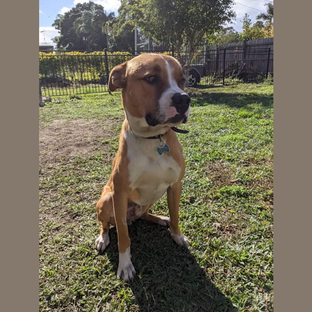 Photo of Sabre