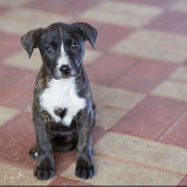 Photo of Zinka
