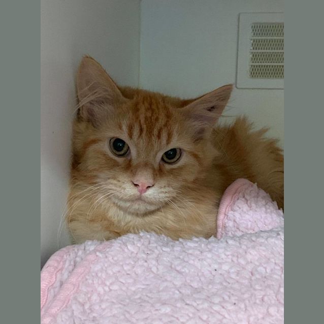 Photo of Fred